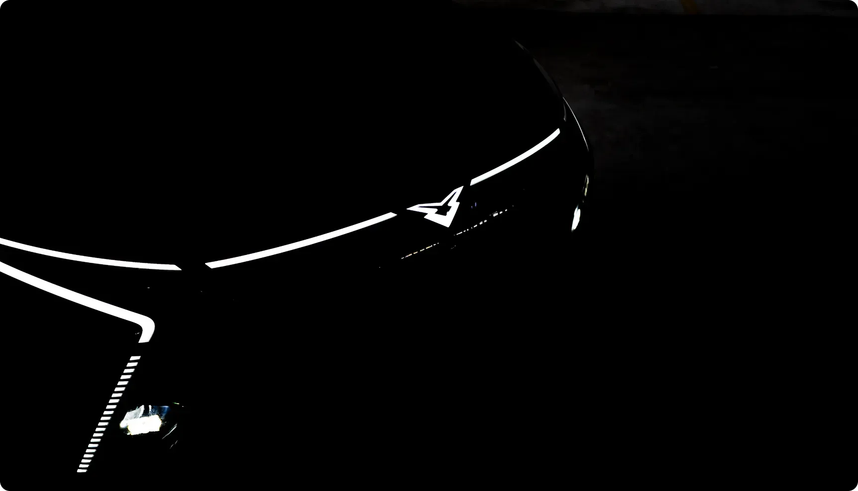 FIRMA LUMíNICA ÚNICA