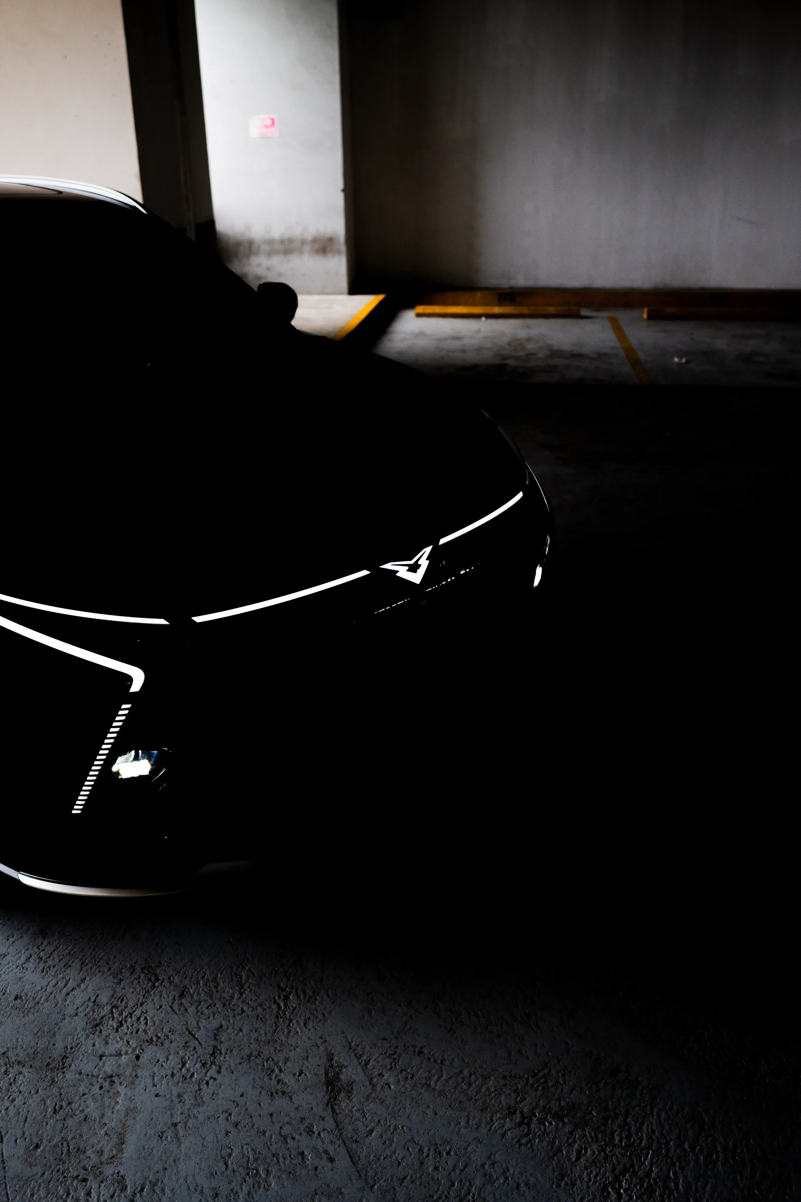 FIRMA LUMíNICA ÚNICA